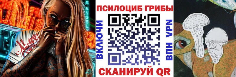 Галлюциногенные грибы MAGIC MUSHROOMS  где купить наркоту  Кандалакша 